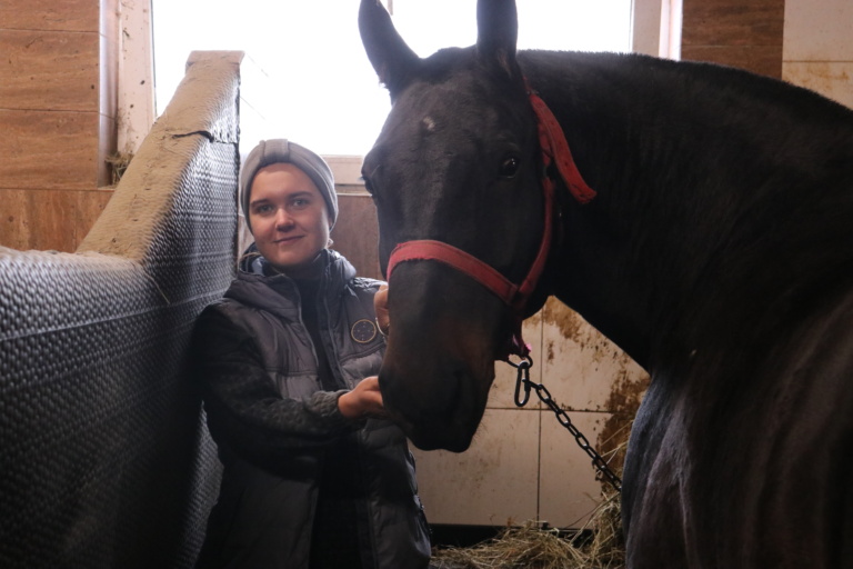 Konie też potrzebują rehabilitacji. Fizjoterapia pomaga im wrócić do pełnej sprawności po wypadkach i w codziennej pracy