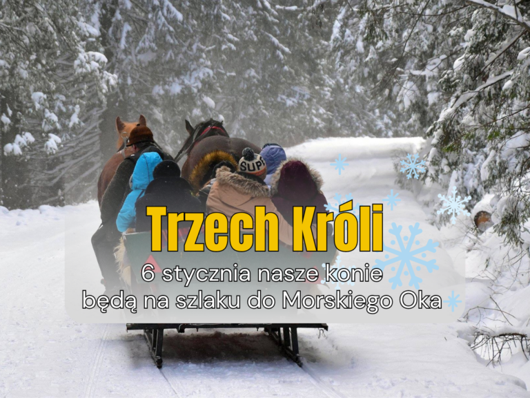 6 stycznia nasze konie kursują do Morskiego Oka / January 6 – Sleigh rides to Morskie Oko are available!