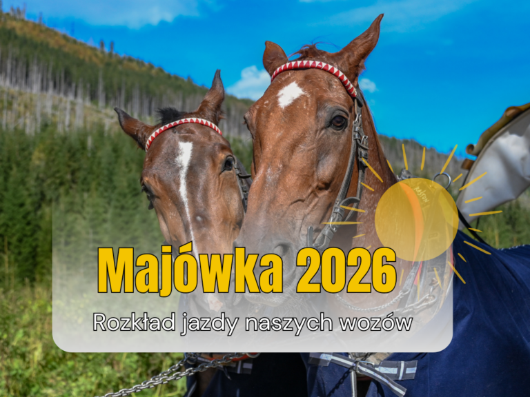 Majówka 2026: Rozkład jazdy i kluczowe informacje dla turystów